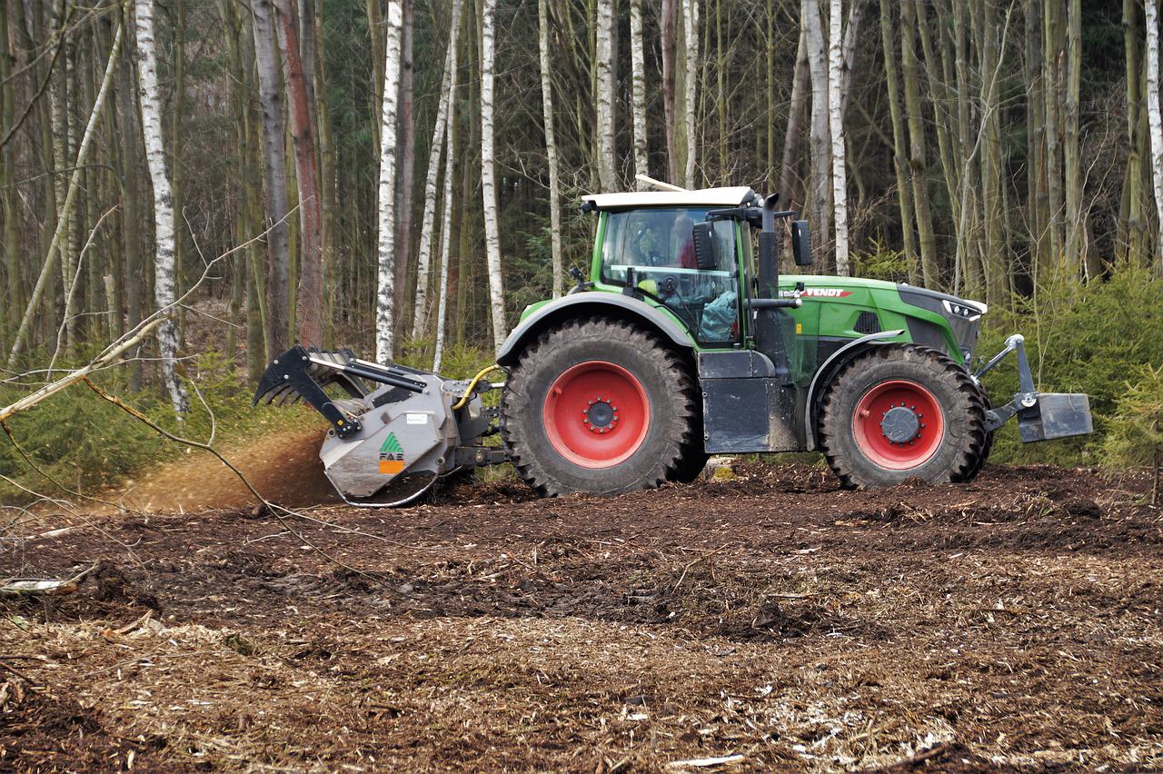 Affordable Tree Removal Services Franklin TN